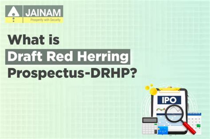 What is a red herring prospectus also known as?