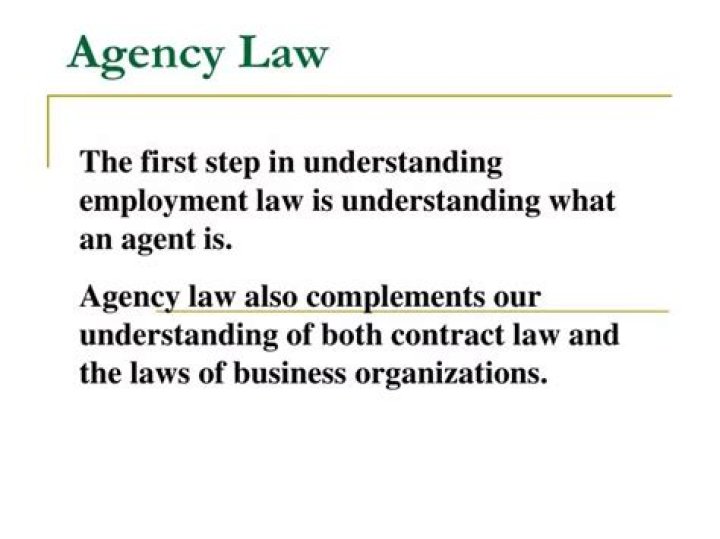 What is agency law important for businesses to understand?