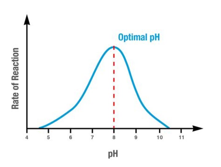 What is an optimal mix of output?