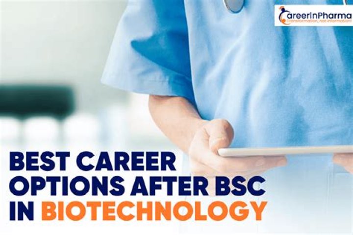 What is best option after BSc it?