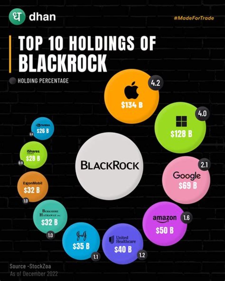 What is Blackrocks biggest investment?