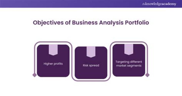 What is business portfolio analysis why it is used?