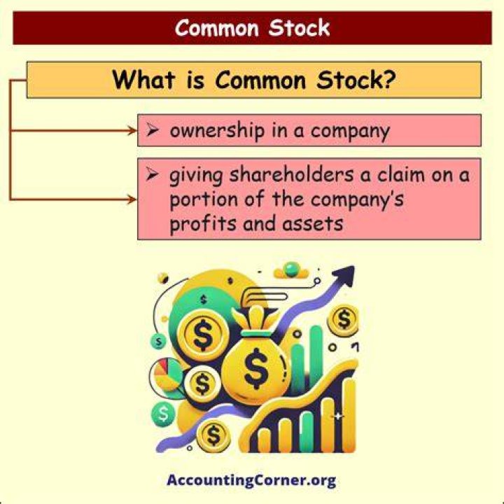 What is common stock holding?
