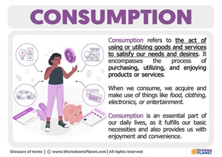 What is consumption volatility?