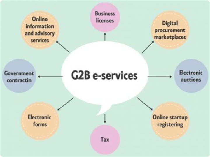 What is G2B e-commerce with example?