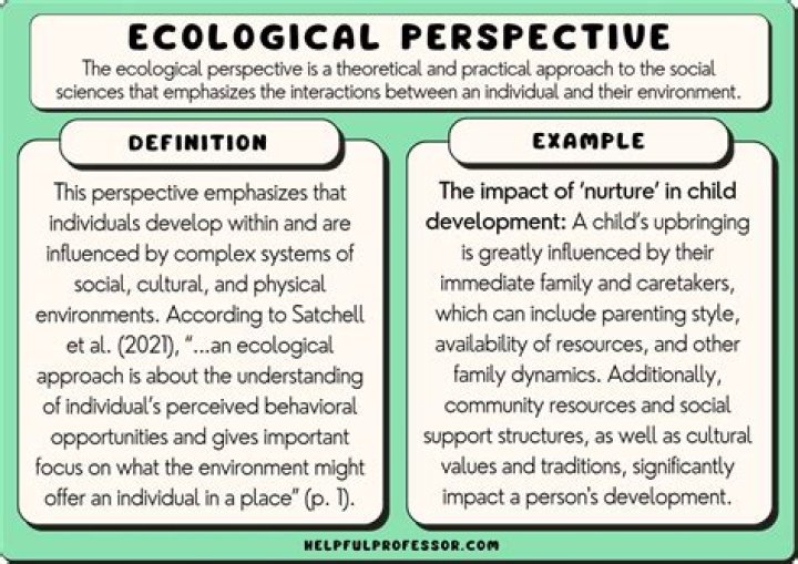 What is holistic perspective example?