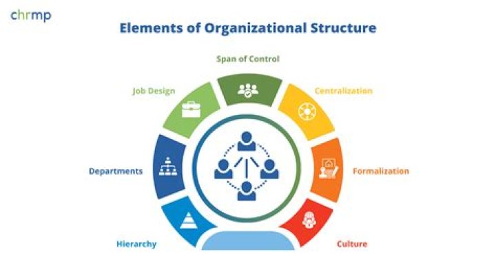 What is internal structure in business?