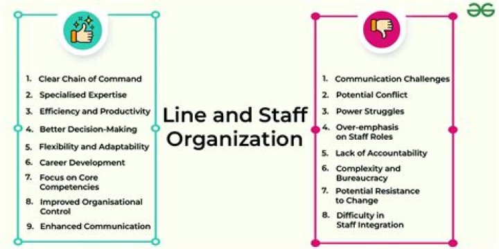 What is line and staff type of Organisation?