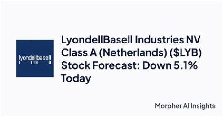 What is LyondellBasell Industries NV?