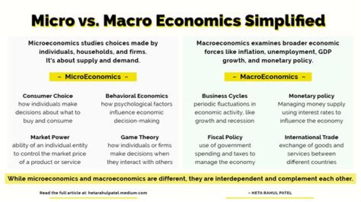 What is macro and micro economy?