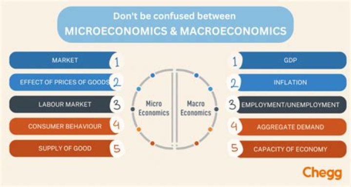 What is Macroeconomics good for?