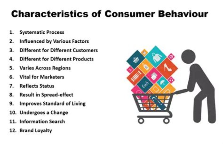 What is meant by consumer Behaviour explain its importance?