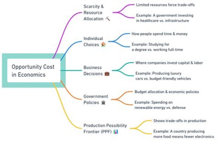What is meant by opportunity cost in microeconomics?