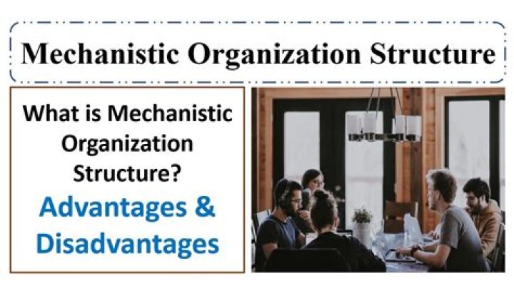 What is mechanistic organization?