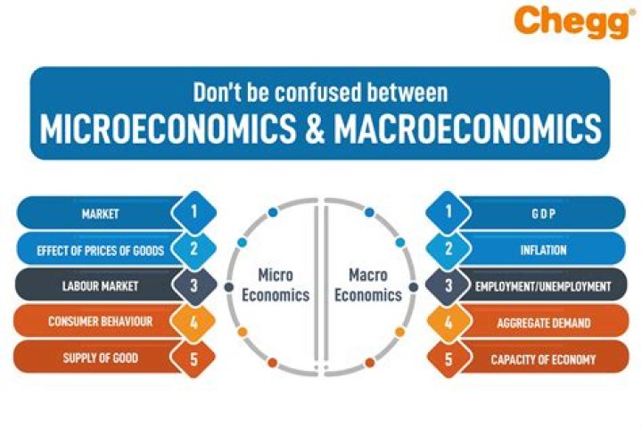 What is micro and macro economy?