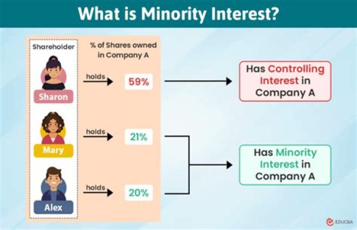 What is minority interest income?