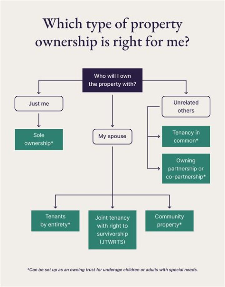 What is ownership and types of ownership?
