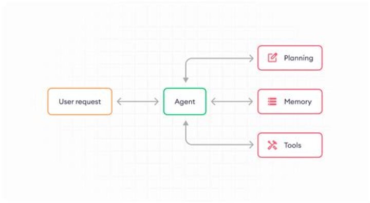What is responsibility of agent?