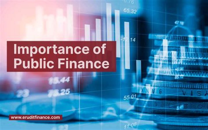 What is scope and importance of public finance?