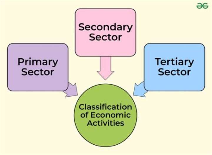 What is secondary activity example?