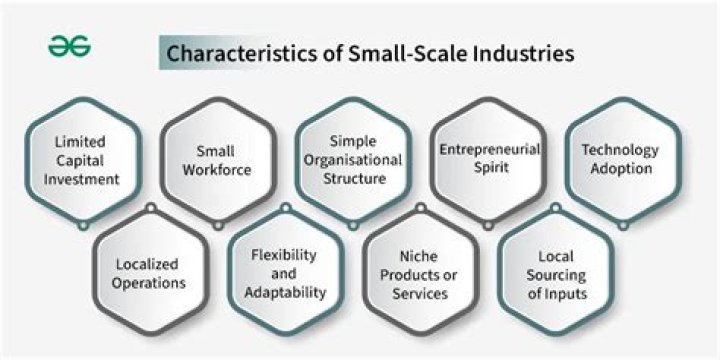 What is small scale enterprises in India?
