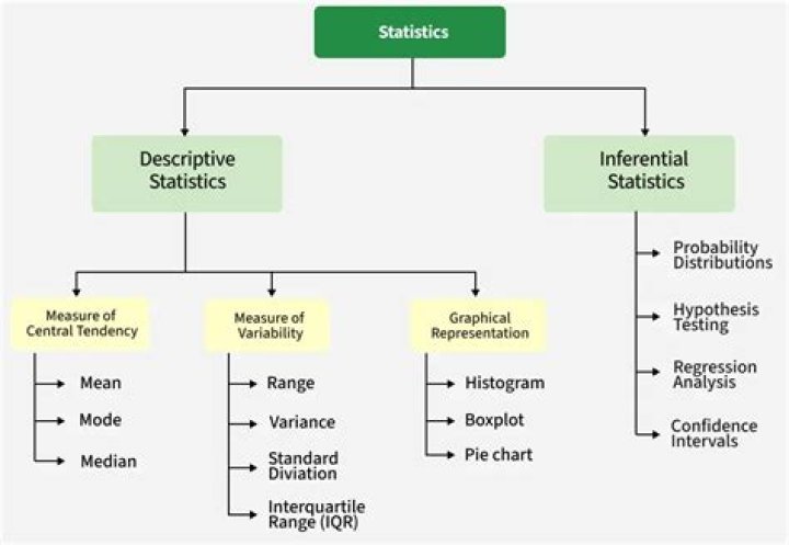 What is statistic example?