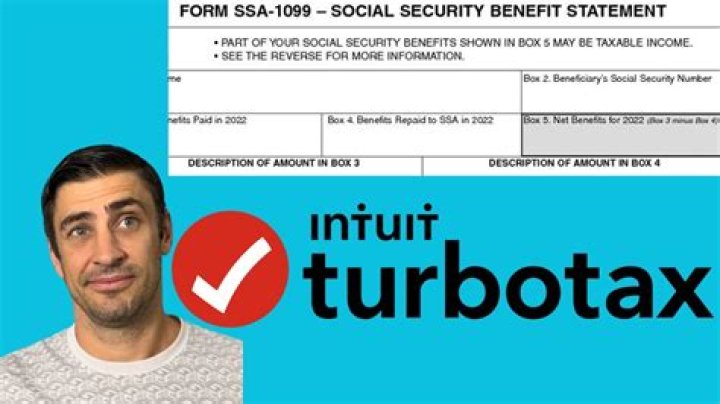 What is statutory employee in TurboTax?