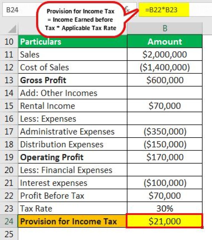 What is tax provision on income statement?