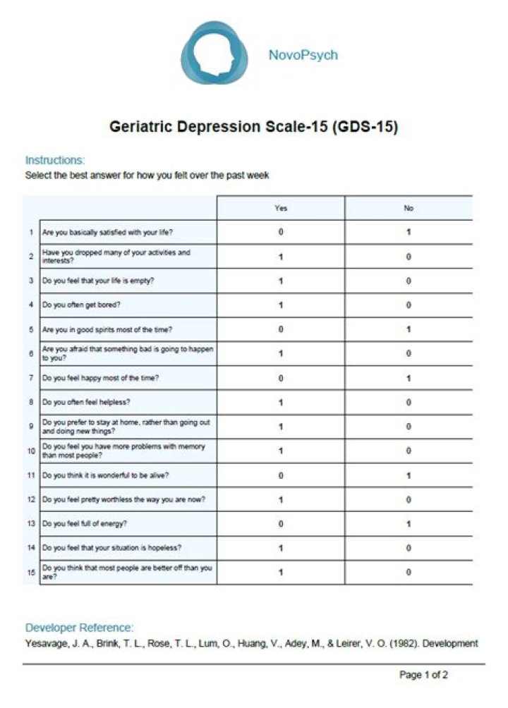 What is the 15 item Geriatric Depression Scale?