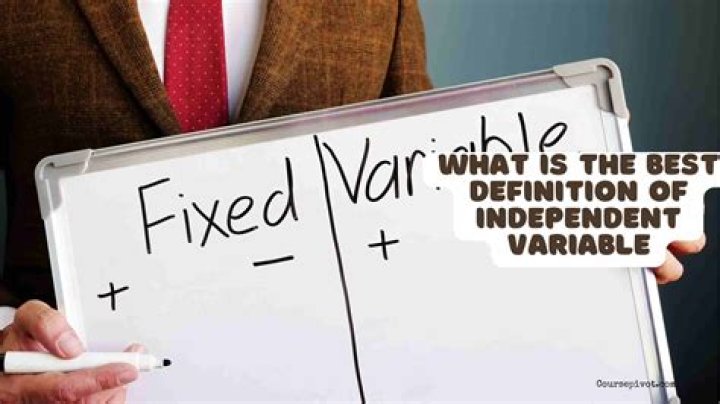 What is the best definition of independent variable?