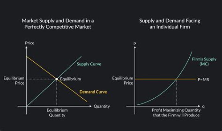What is the demand curve for a perfectly competitive firm?