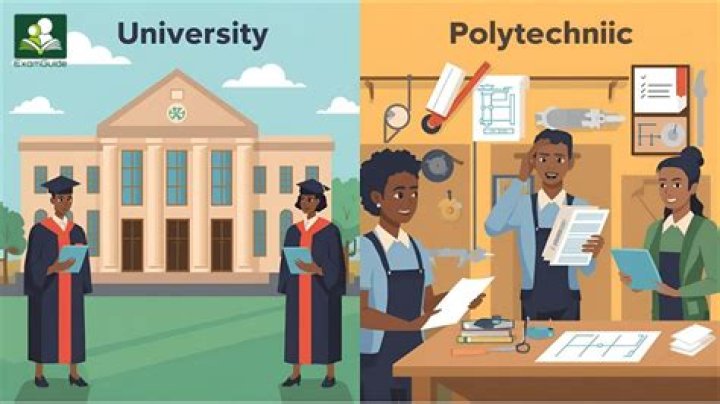 What is the difference between a polytechnic and a college?