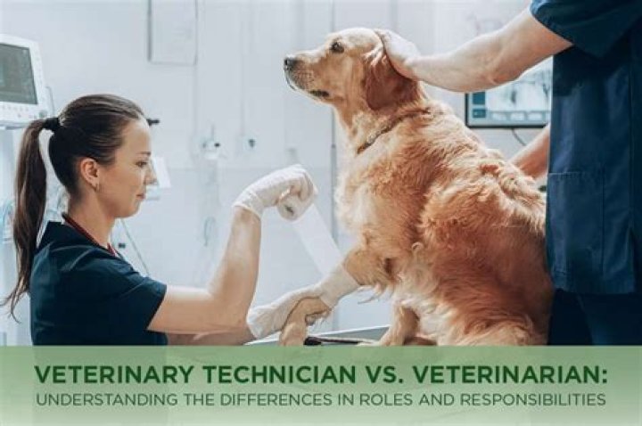 What is the difference between a veterinary technician and a veterinary technologist?