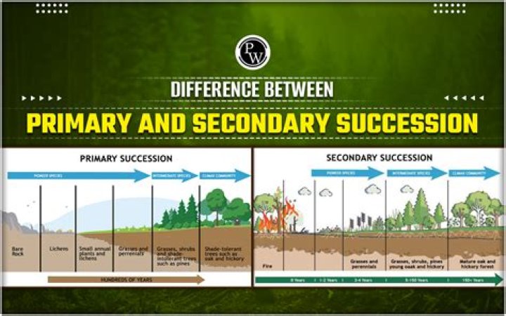 What is the difference between primary and secondary reserve?