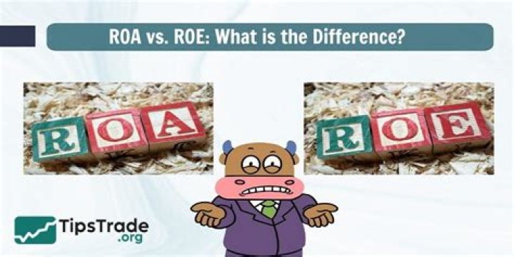 What is the difference between ROA and ROE?