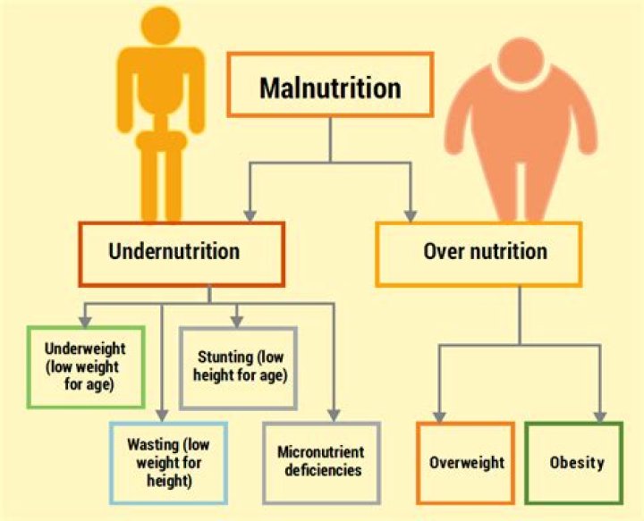 What is the difference between under malnutrition and over nutrition?