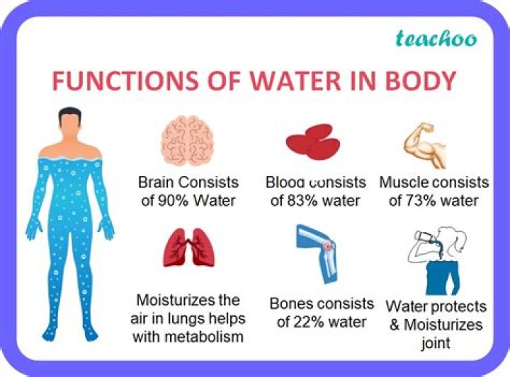 What is the function of SBA?