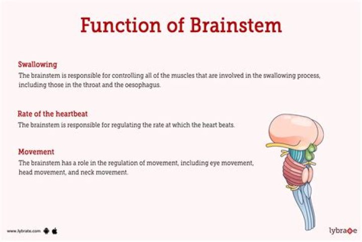 What is the function of the construction industry?
