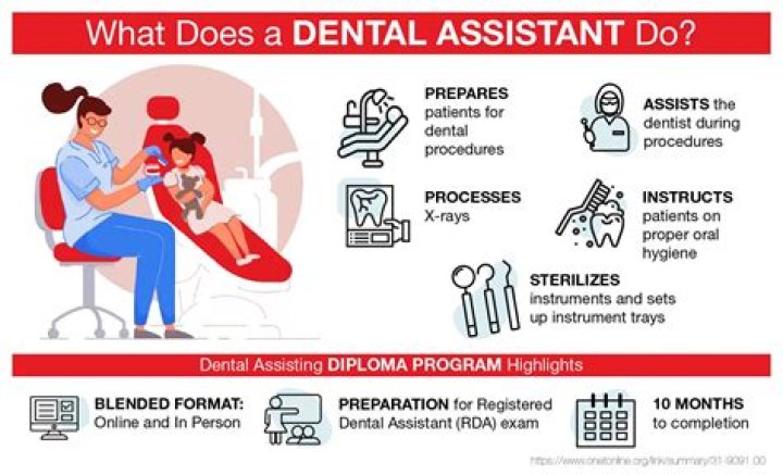 What is the highest dental job?