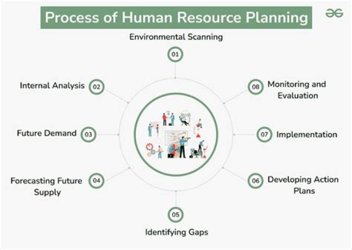 What is the human resource management process?