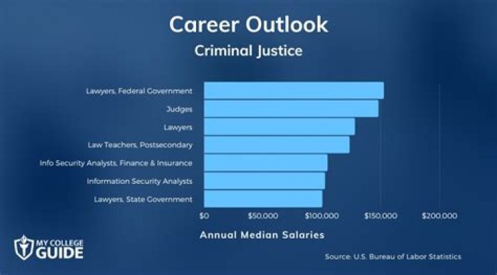 What is the income of criminal lawyer?