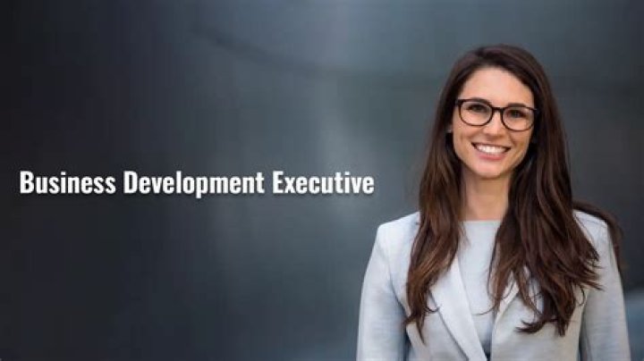What is the job profile of business development executive?