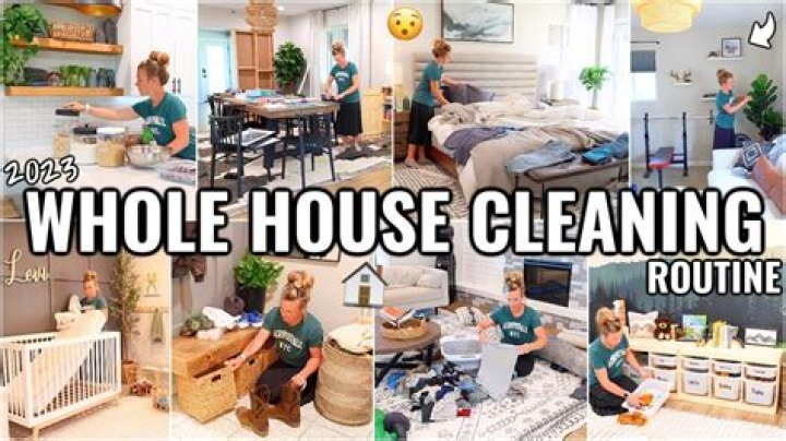 What is the job title for someone who cleans houses?