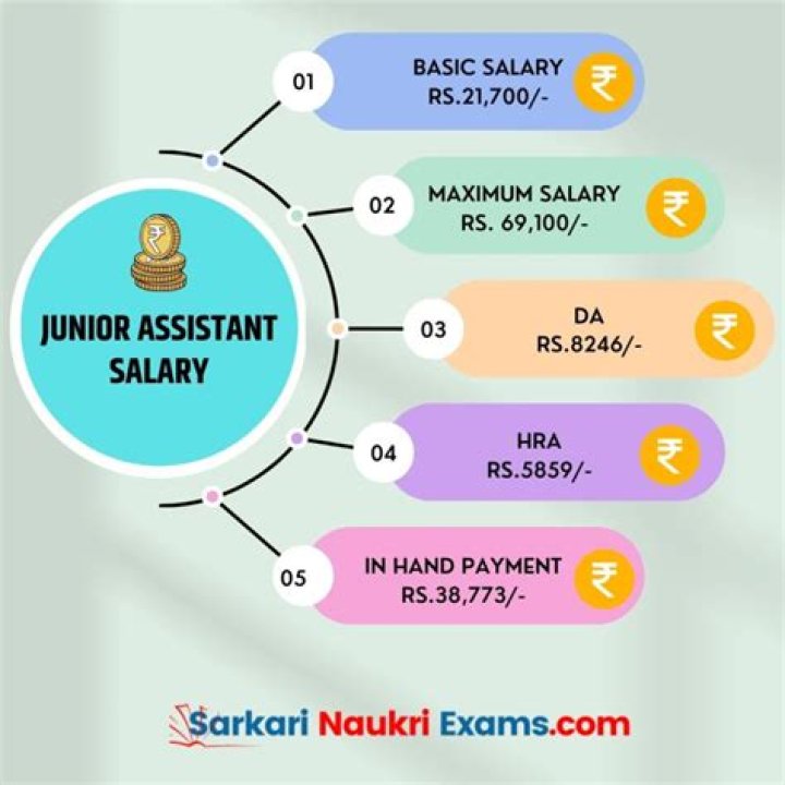 What is the level of junior assistant?