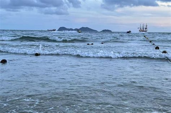 What is the main purpose of team building?