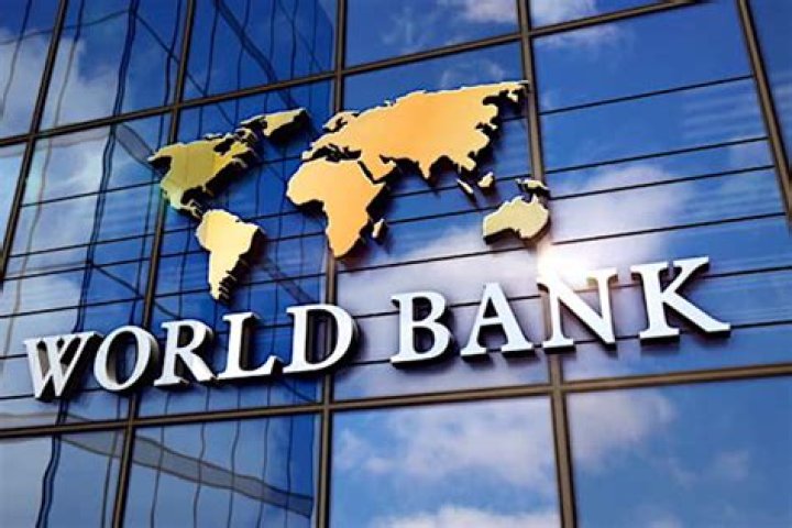 What is the main purpose of the loans made by the World Bank?