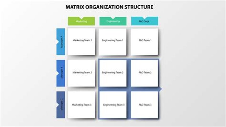 What is the matrix organizational structure?