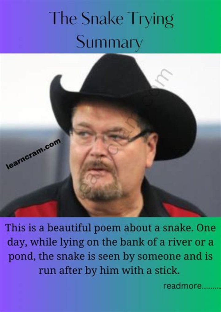 What is the message of the poem snake trying?
