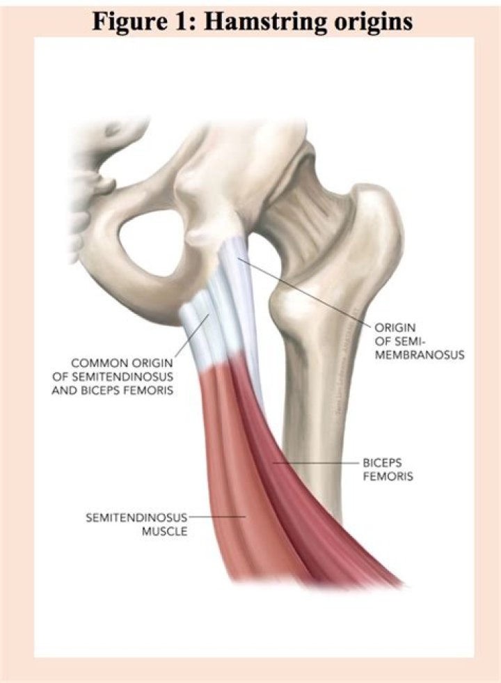 What is the most important thing for a salesman to be?