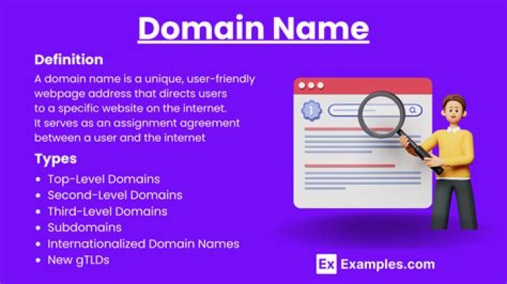 What is the most money paid for a domain name?